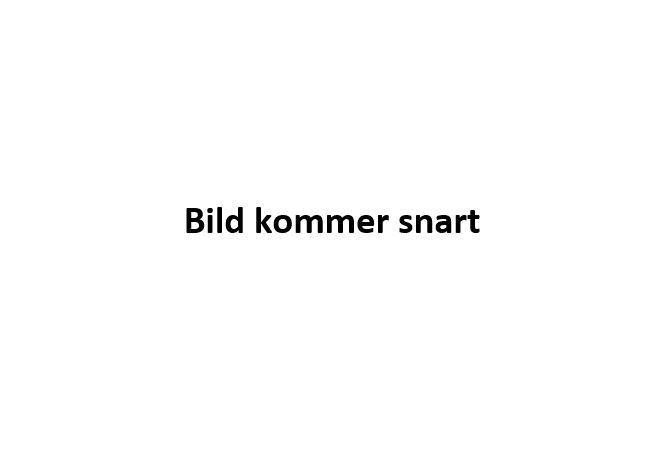 Mattias Lind